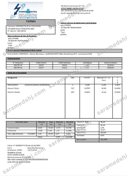 France Energies & Services Régie Municipal d’ Electricité Sarre-Union electricity utility bill